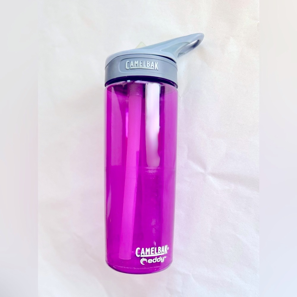 CAMELBAK Eddy Purple Insulated Water Bottle - BPA FREE
